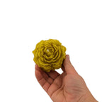 Bulk trade supply of natural yellow beeswax floral candles for independent florists and homeware boutiques.