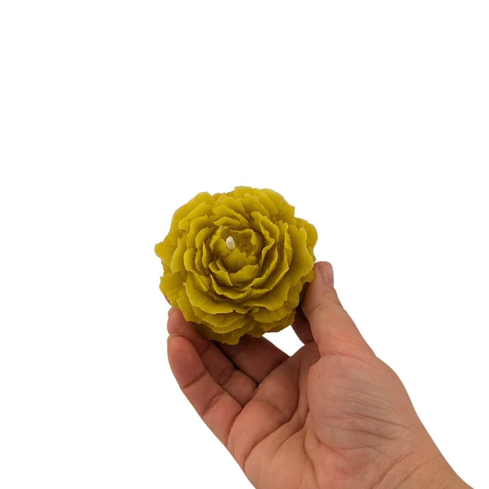 Bulk trade supply of natural yellow beeswax floral candles for independent florists and homeware boutiques.