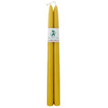 Close-up of two extra-long 320mm pure British beeswax taper candles in natural yellow for wholesale event supply